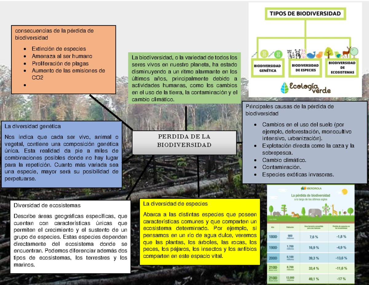 MAPA Mental DE LA Perdida DE LA Biodiversidad - PERDIDA DE LA ...