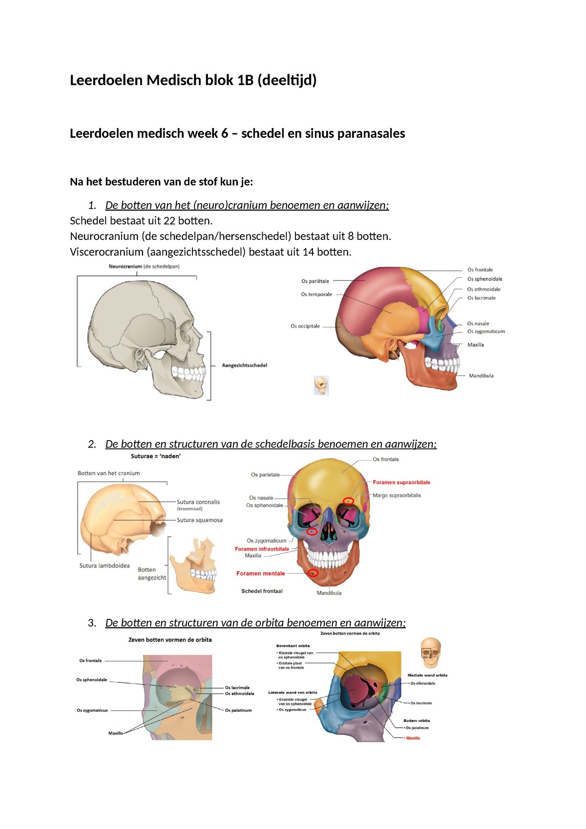 Leerdoelen Medisch Blok 1B Week 6 - Schedel En Sinus Paranasales ...