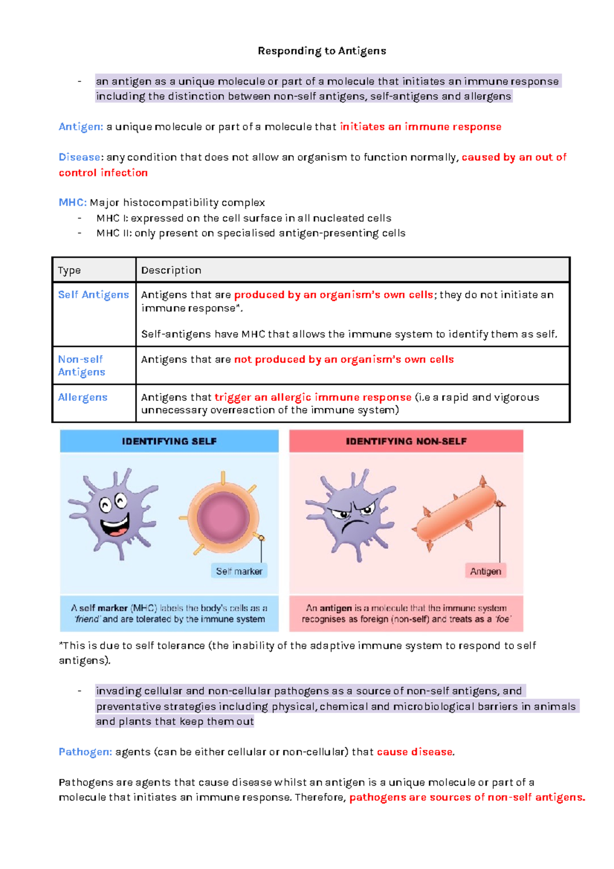 Antigens and Immunity Biology Unit 3 AOS 2 Responding to Antigens