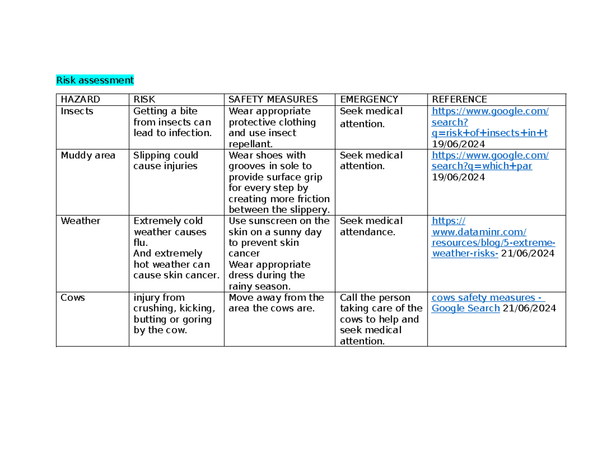 Rp12 risk assessment - Risk assessment HAZARD RISK SAFETY MEASURES ...