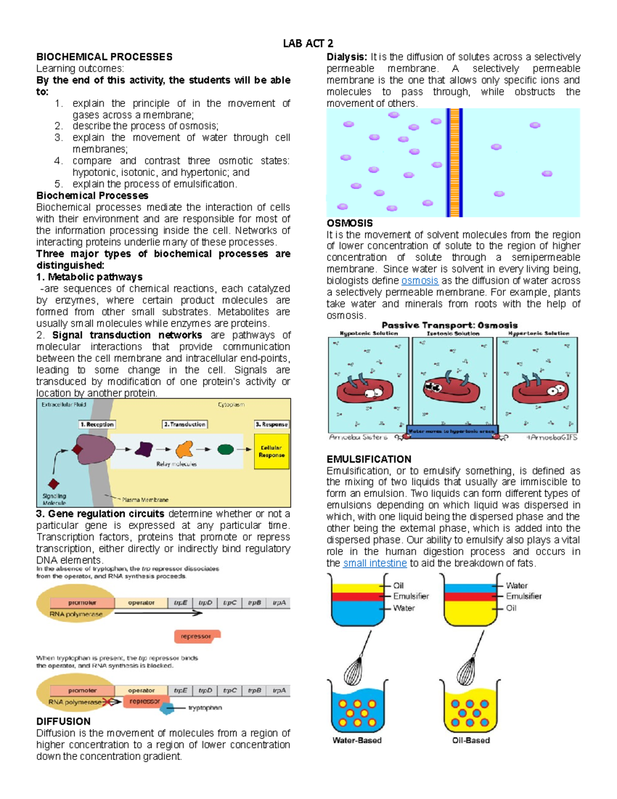 experiment 2 biochemical processes