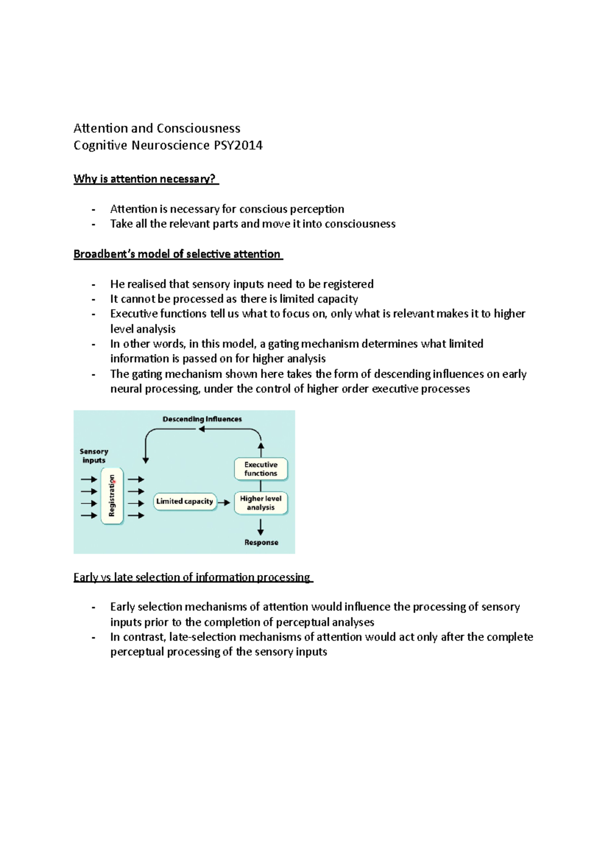 Attention and Consciousness - Attention and Consciousness Cognitive ...