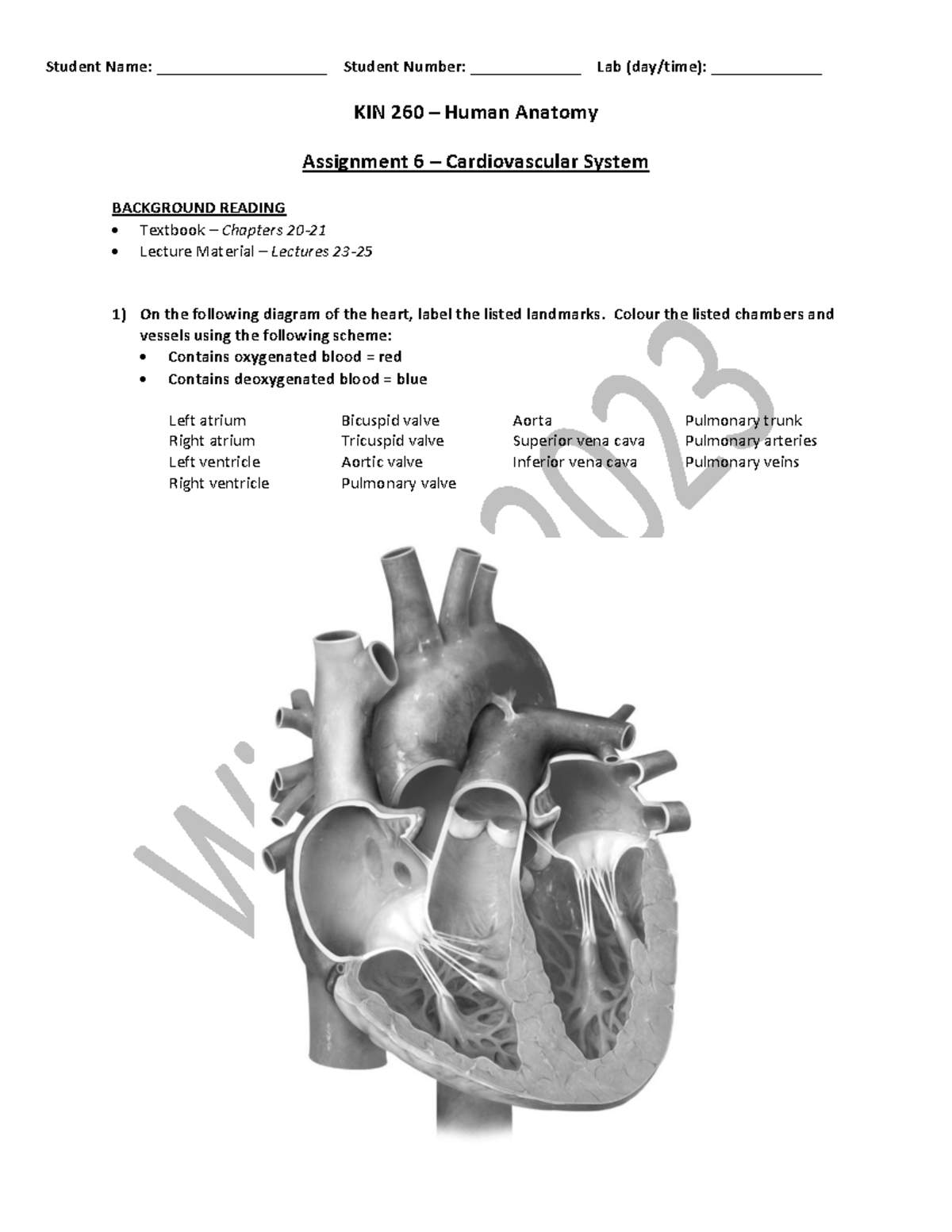 Lab 6 Assignment Lab 6 Practice Student Name