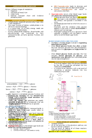 Carbohydrate Metabolism (LEC)