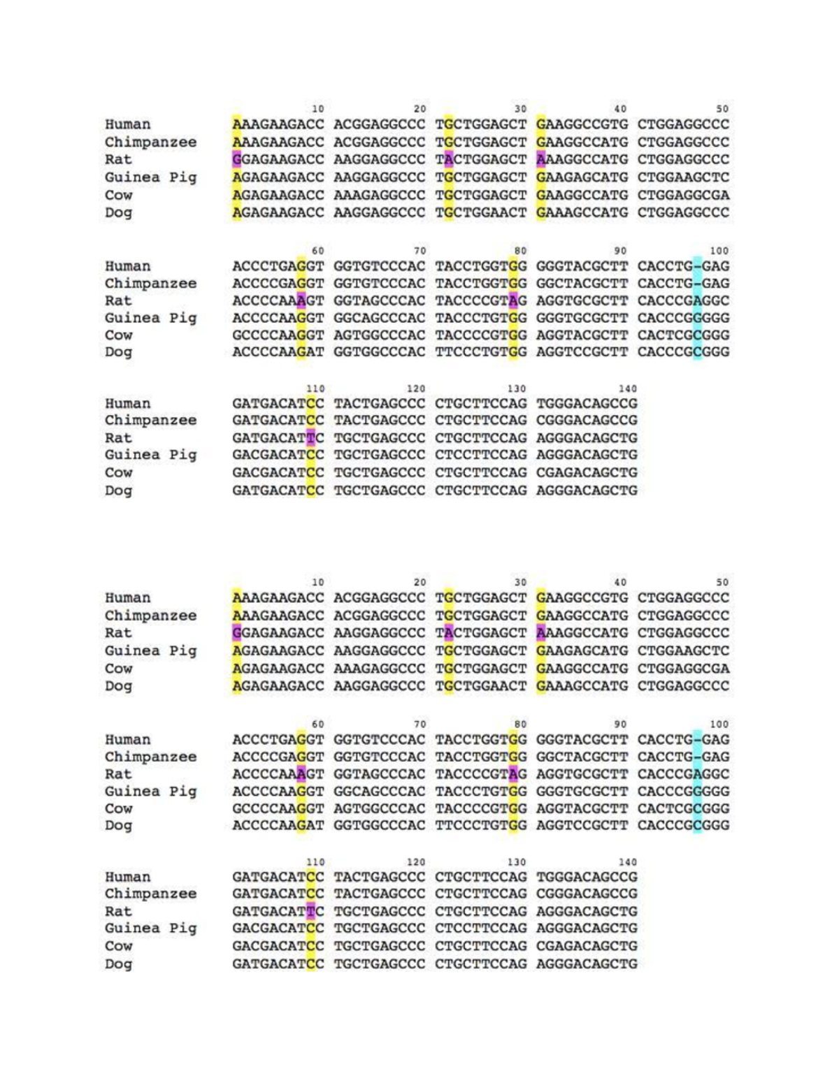 03 Determining how species are related - Genetic Comparison Activity ...