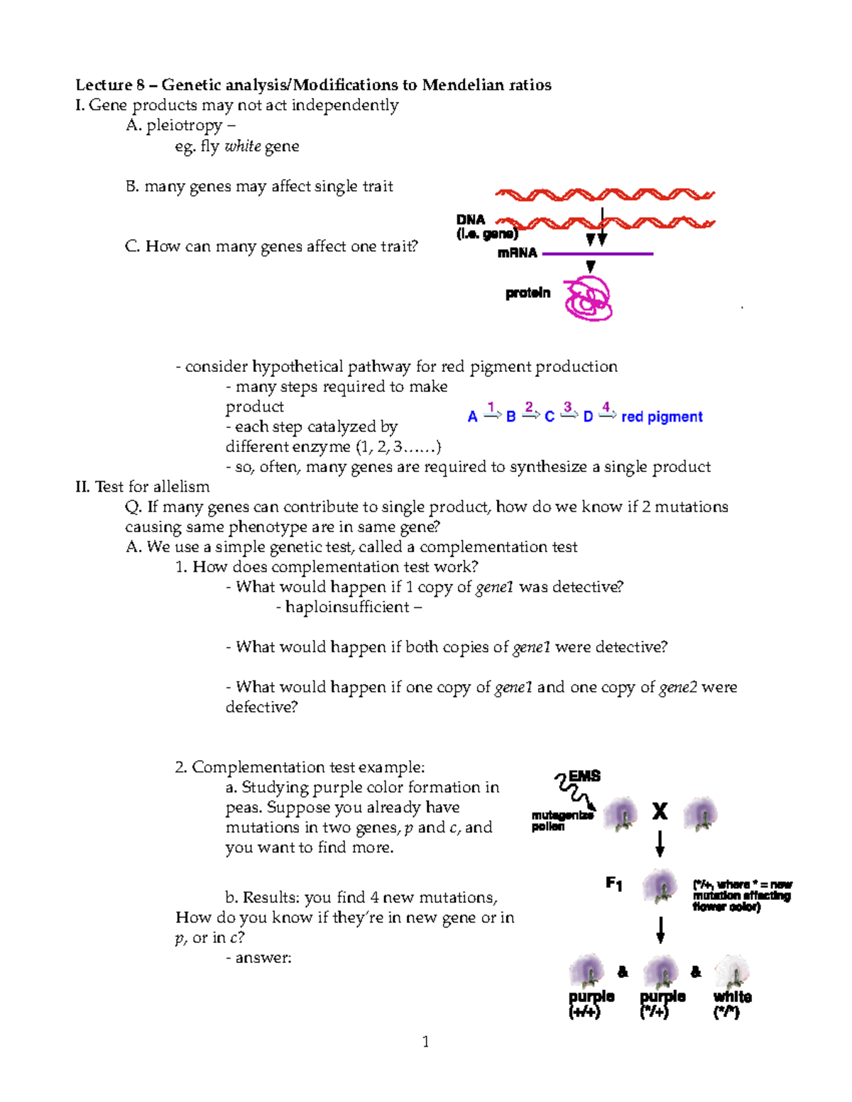 modifications-of-mendelian-ratios-lecture-8-genetic-to-mendelian