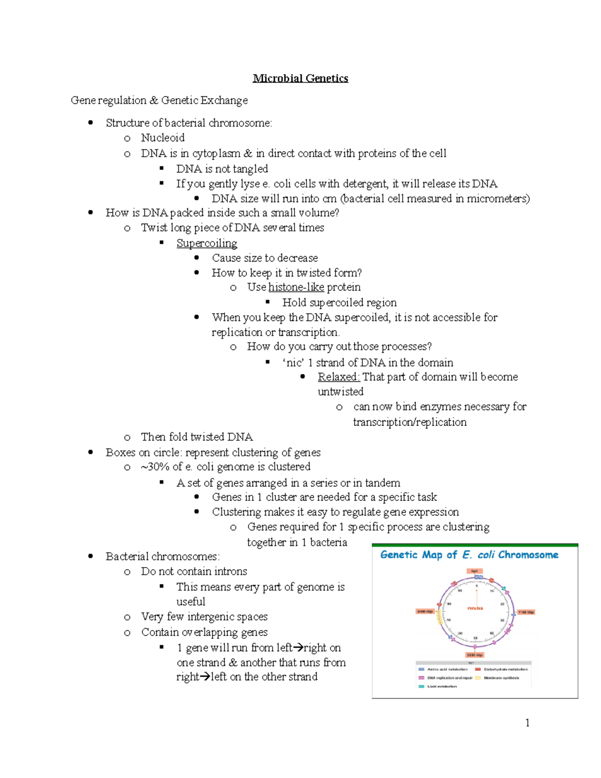 Microbial Genetics - Lecture Notes Exam 3 - Microbial Genetics Gene ...