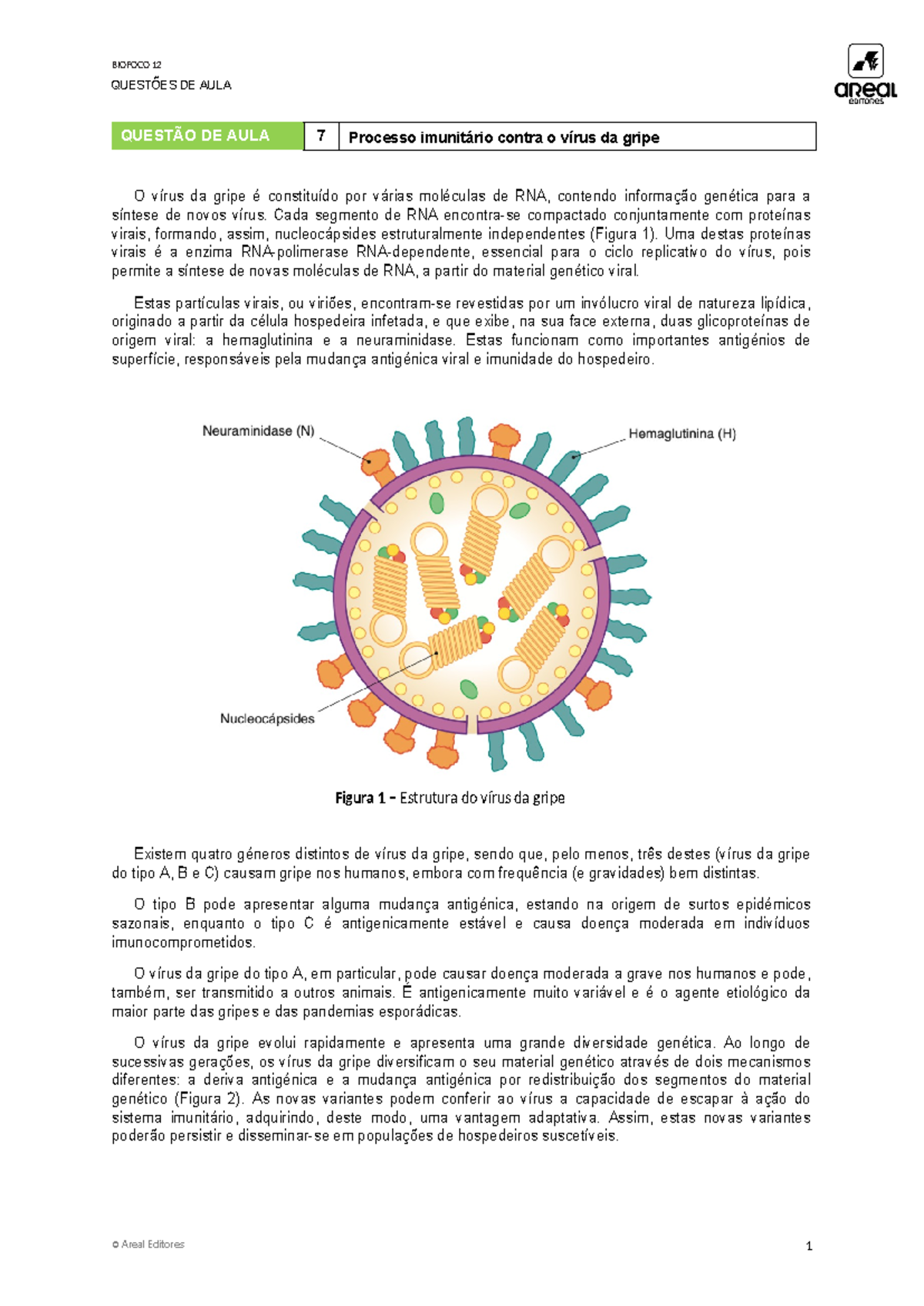 Ficha 7 Biologia - QUESTÕES DE AULA QUESTÃO DE AULA 7 Processo ...