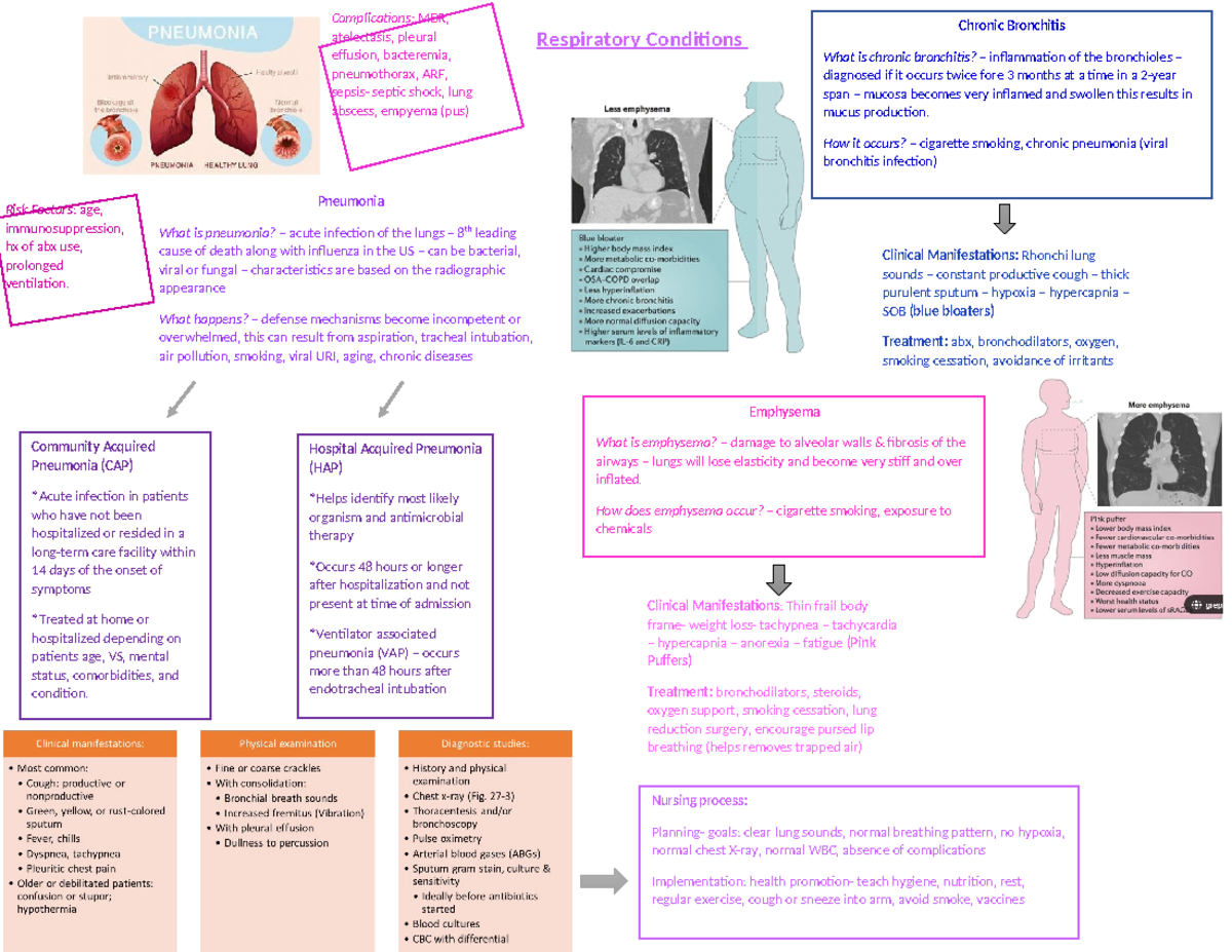 Respiratory+Conditions - Respiratory Conditions Pneumonia What is ...