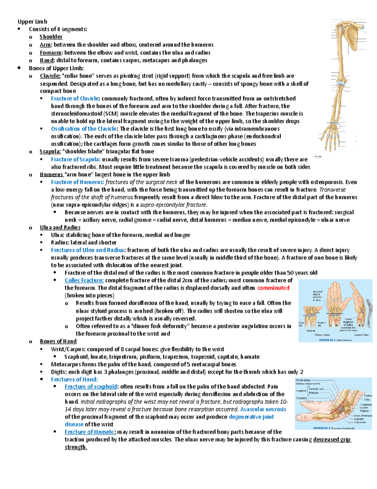 2. Upper Limb - Lecture notes from the textbook with emphasis on what ...