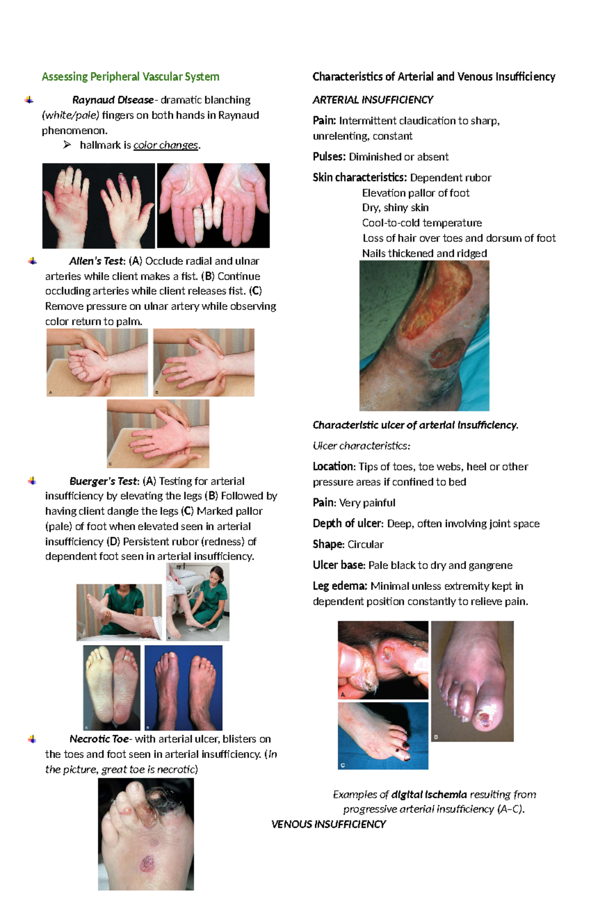 HA LEC Diseases in Finals - Assessing Peripheral Vascular System ...