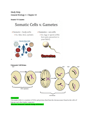 Chapter 34 Notes - BIO 199 - Biology immune Chapter 34 : Devlin stones ...