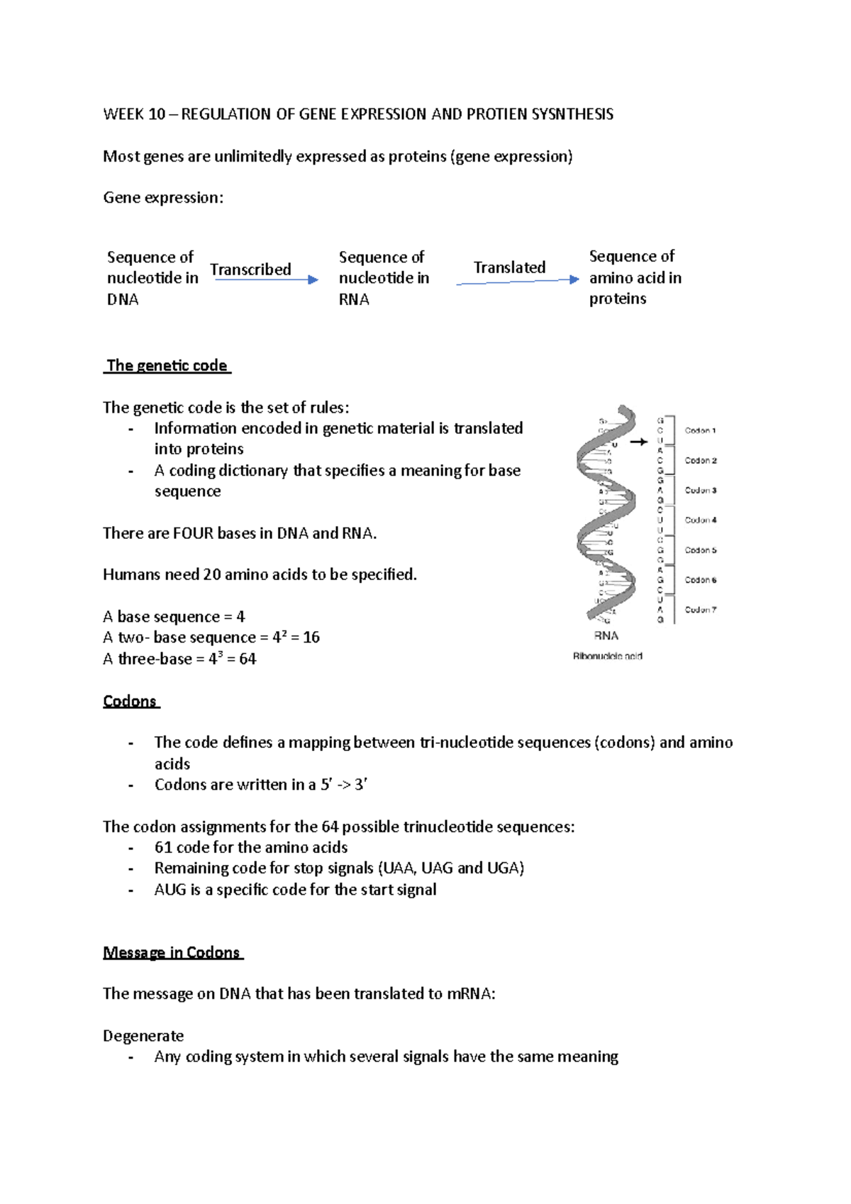 regulation-of-gene-expression-and-protein-synthesis-week-10