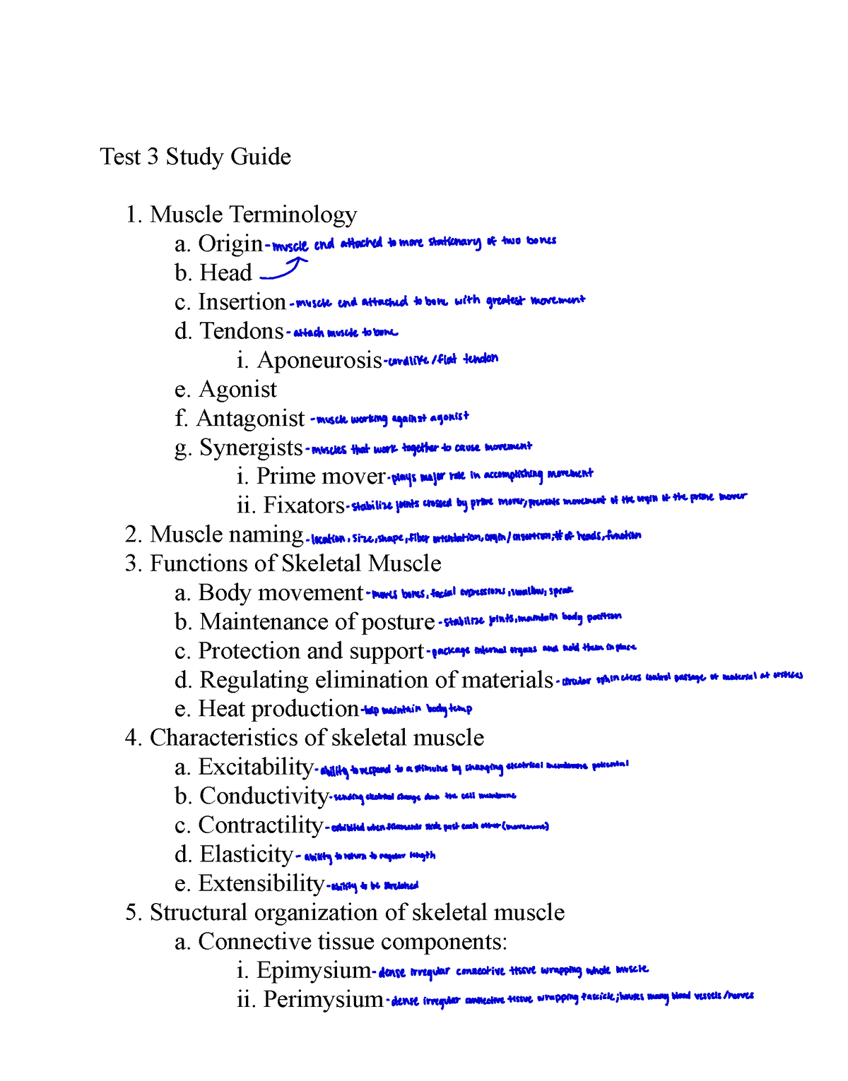 Test 3 Study Guide - Test 3 Study Guide 1. Muscle Terminology A. Origin ...