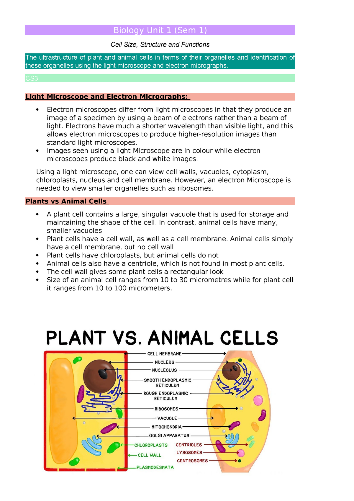 CS3 Electron and Light Microscopes and Animal vs Plant Cells - Biology Unit  1 (Sem 1) Cell Size, - Studocu