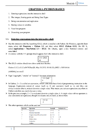 programming with Phyton internship report - Python Application ...
