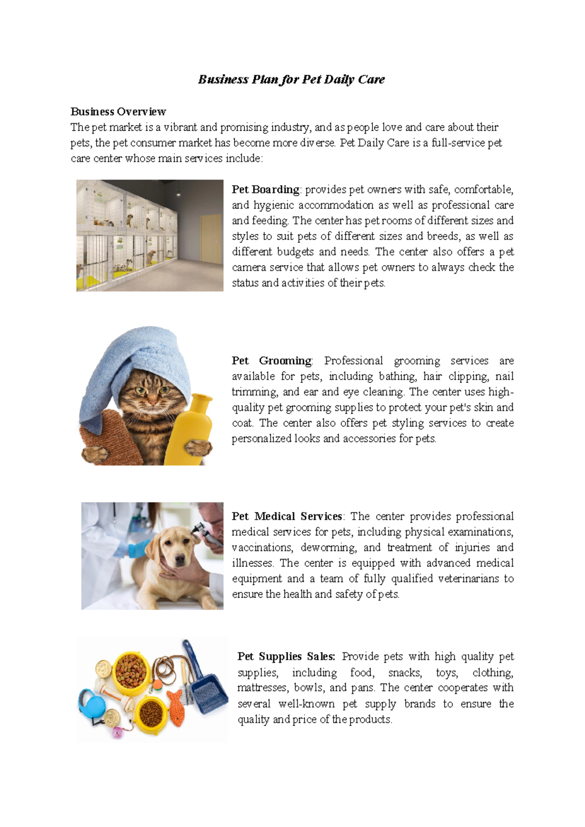 A231033 Business Plan for Pet Daily Care Business Overview The