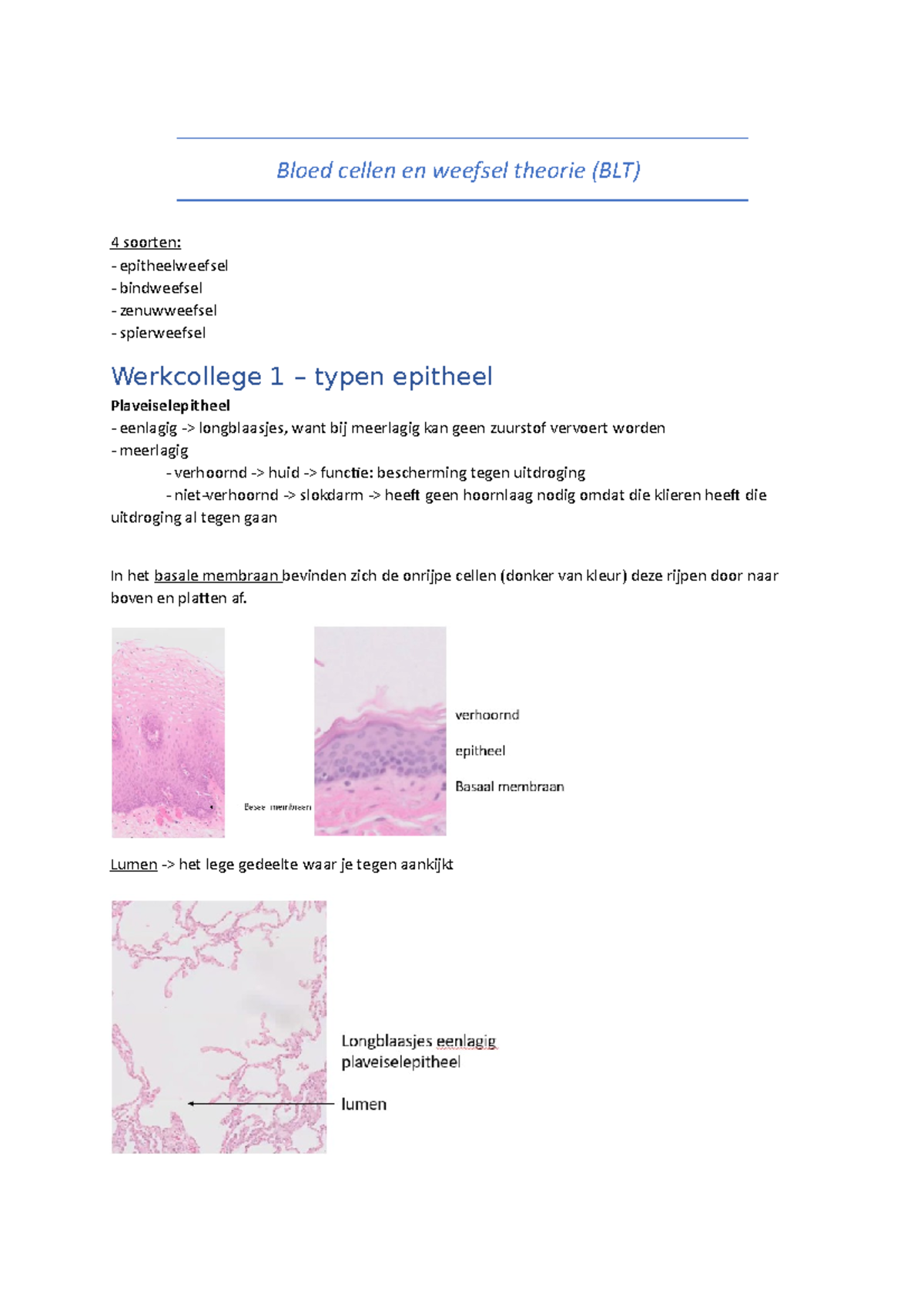 Bloed Cellen En Weefsel Theorie Aantekeningen - Bloed Cellen En Weefsel ...