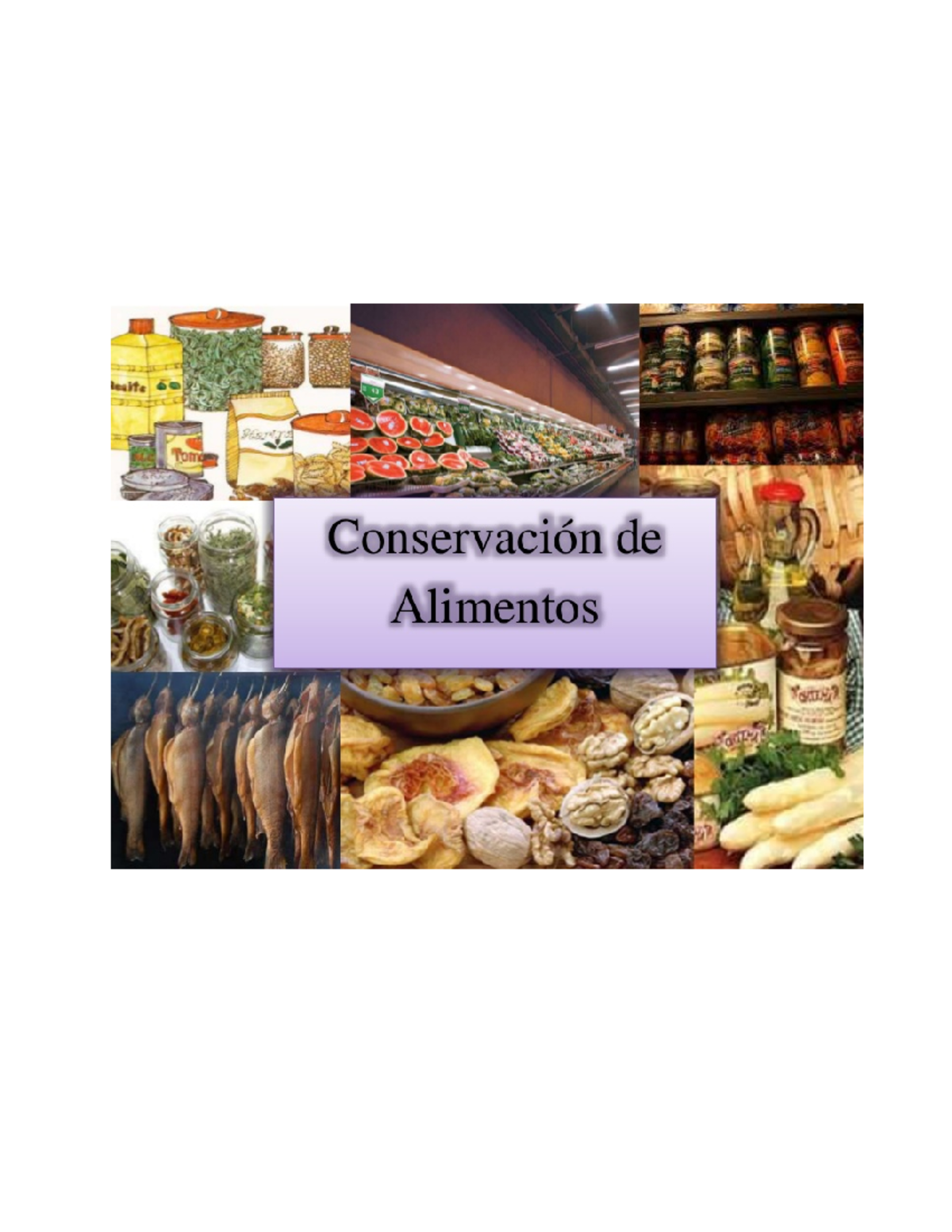 La Conservación De Alimentos, Material De Lectura - TABLA DE CONTENIDO ...