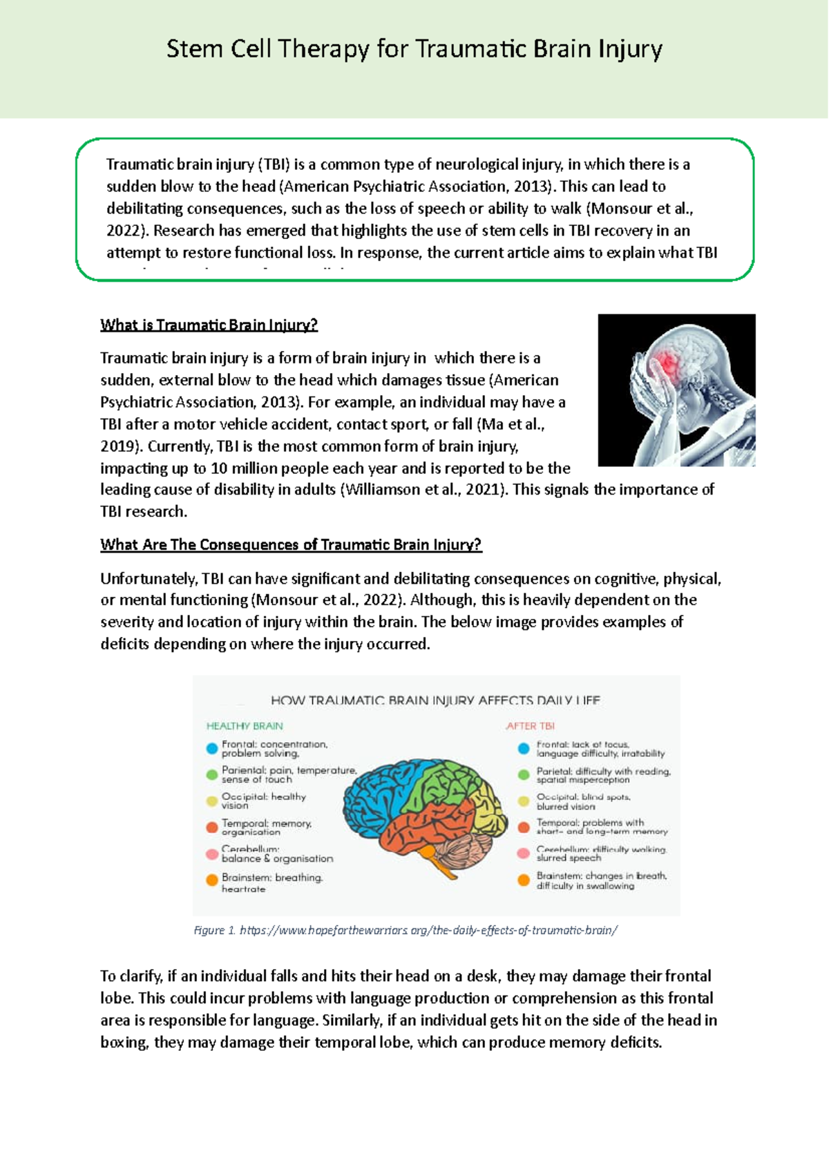 Stem Cell Therapy for TBI - What is Traumatic Brain Injury? Traumatic ...