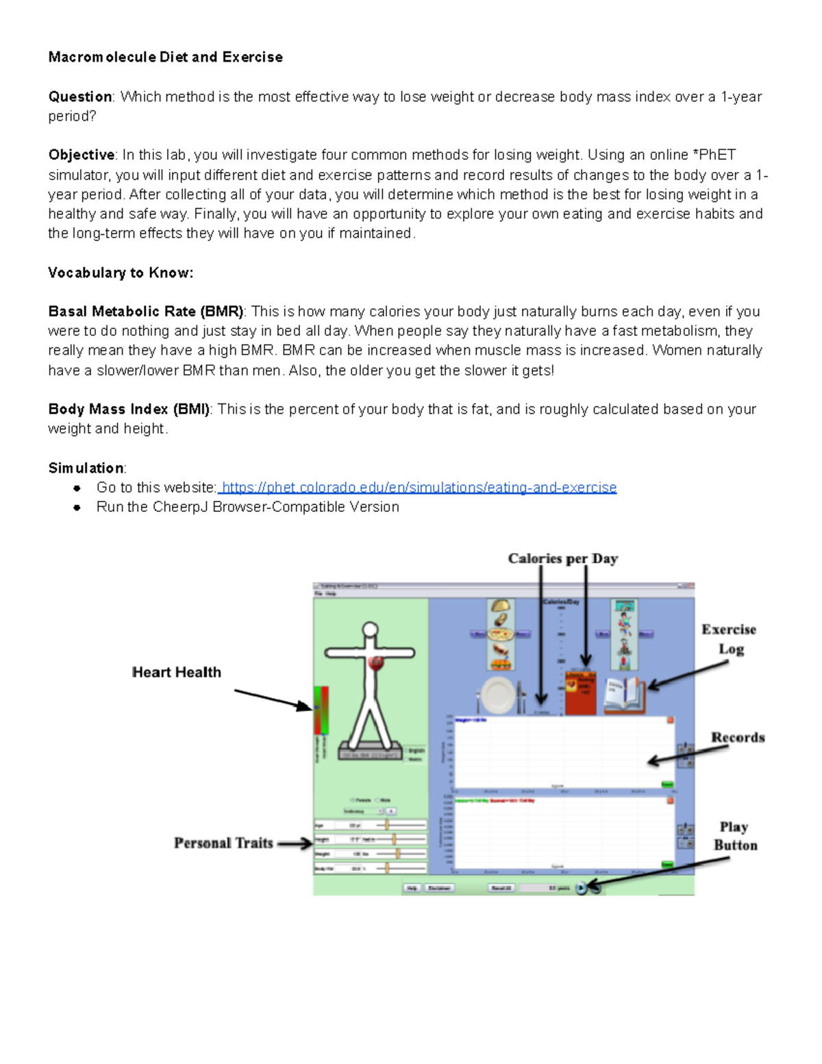 Copy of Macromolecule Diet and Exercise Bio152 U of T Studocu