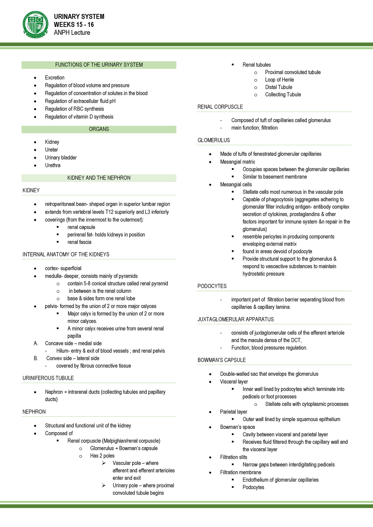 15 16 Urinary system - WEEKS 15 - 16 ANPH Lecture FUNCTIONS OF THE ...