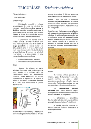 Ancilostomiase resumo amarelão ciclo tratamento profilaxia morfologia etc Ancylostoma