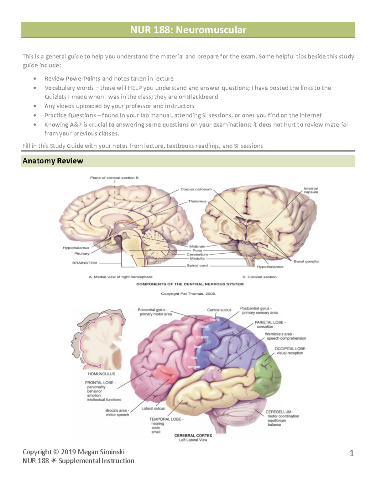 SISG - Neuromuscular - Lecture notes for specific chapters for nursing ...