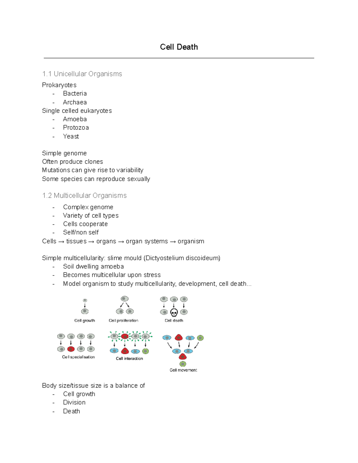 Cell Death CELL008 - Cell Death 1 Unicellular Organisms Prokaryotes ...