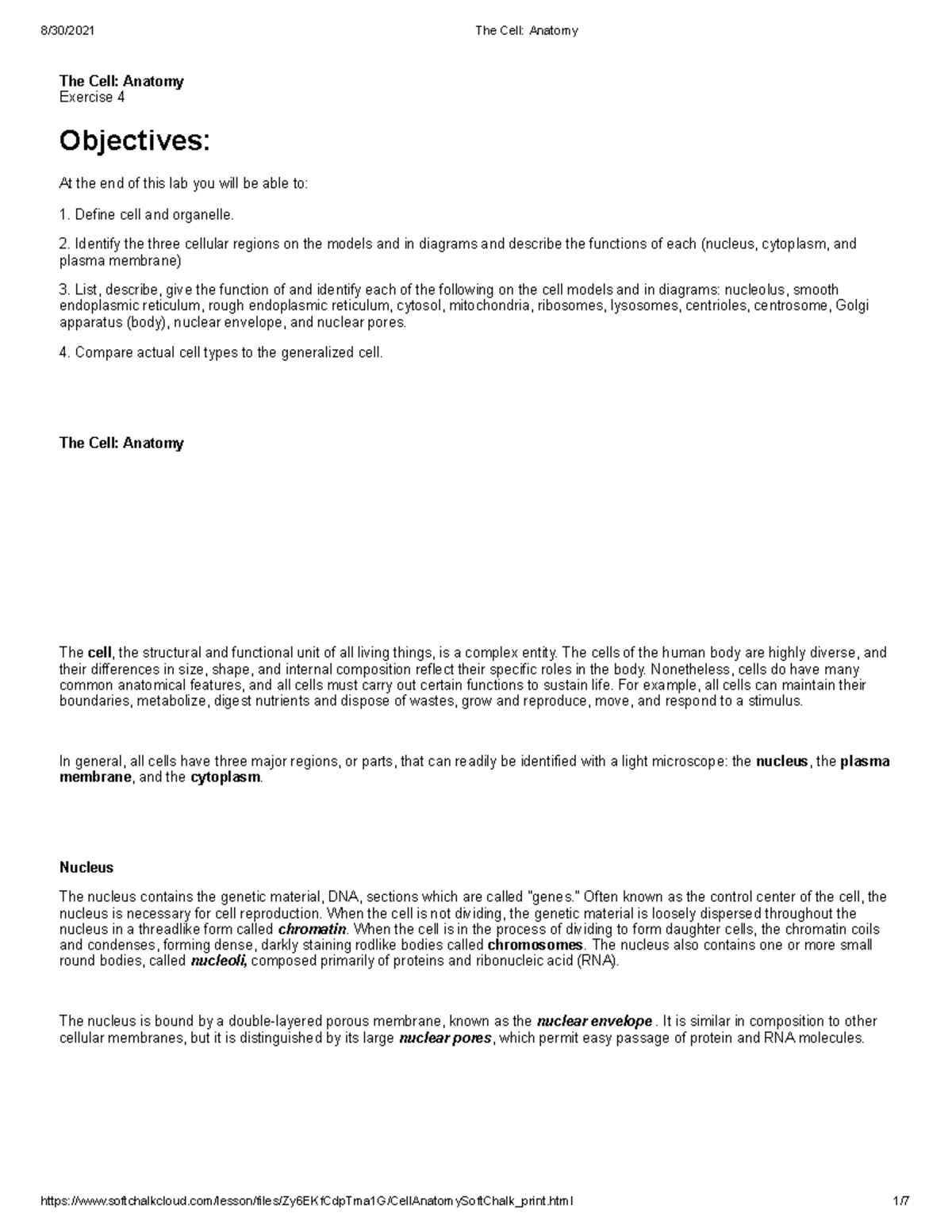 The Cell Anatomy Lab Notes Full Lesson The Cell Anatomy Exercise 4