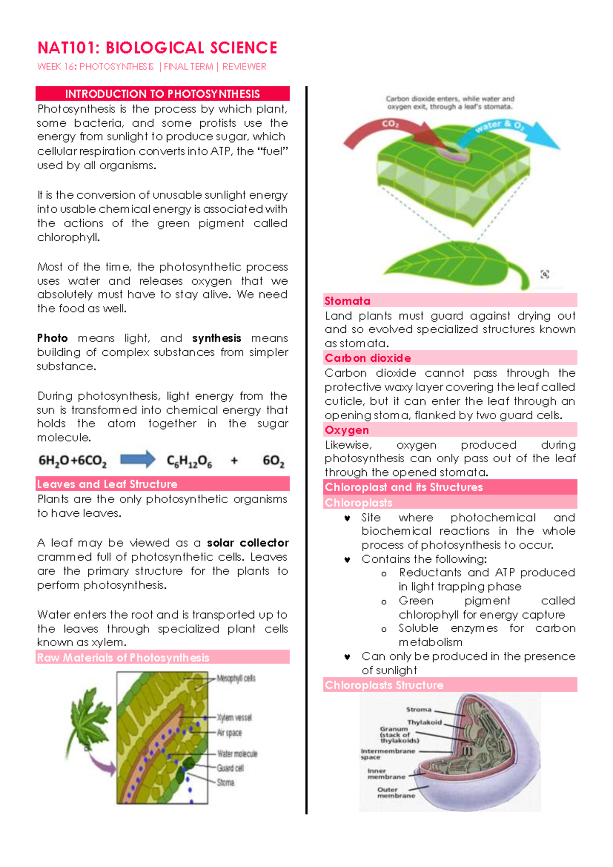 NAT101 W16 Finals Notes - WEEK 16: PHOTOSYNTHESIS |FINAL TERM| REVIEWER ...