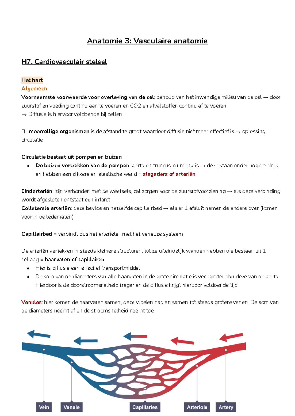 Cardiovasculair Deel 1 - Anatomie 3: Vasculaire Anatomie H7 ...