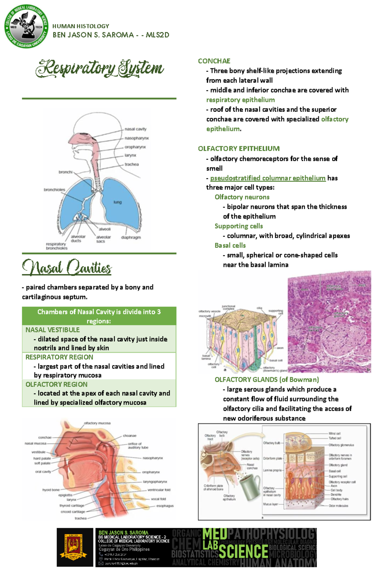 Respiratory- System Discussion-NI-MAAM -ayaw-ikalat-kay-gikapoy-kog ...