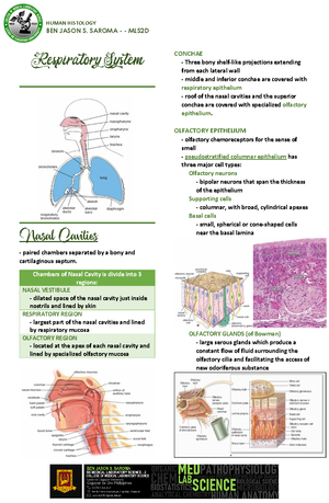 Atlas of Human Histology - Histology Guide ( PDFDrive ) - Atlas of ...