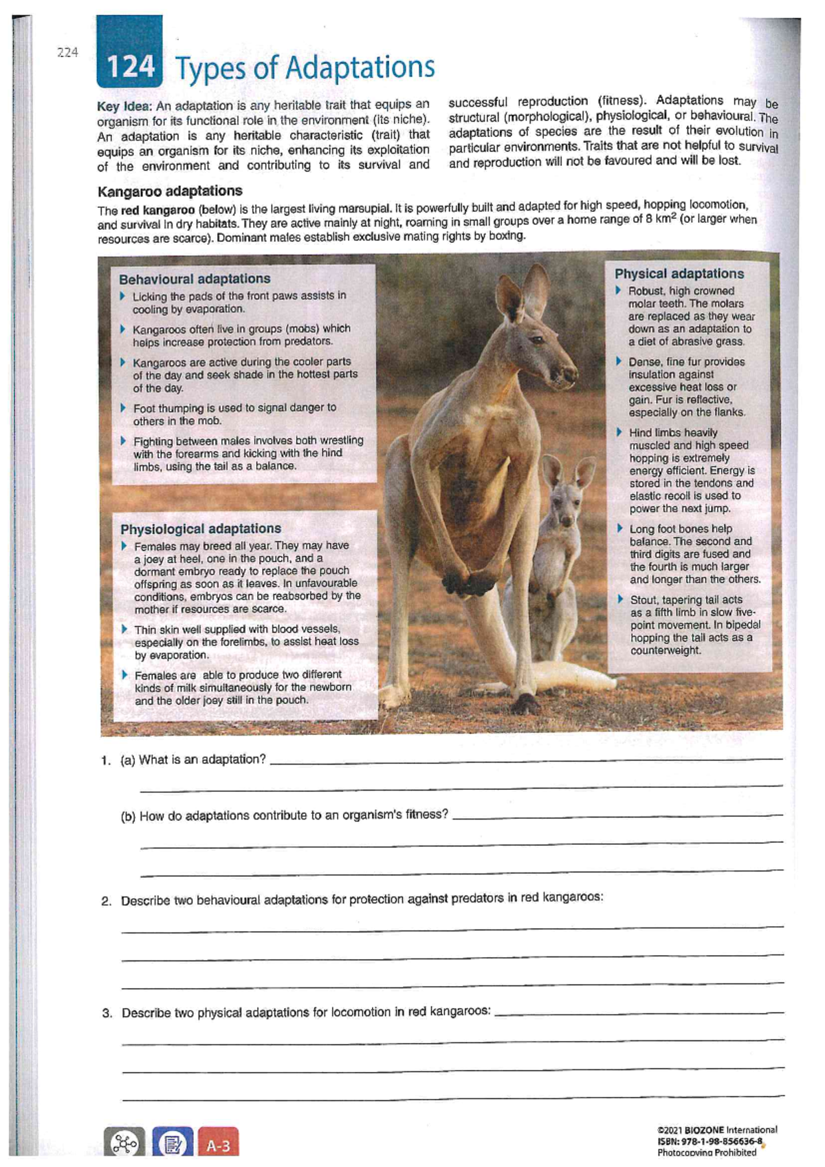 Biozone adaptations in plants and animals - 224 124 Types of ...