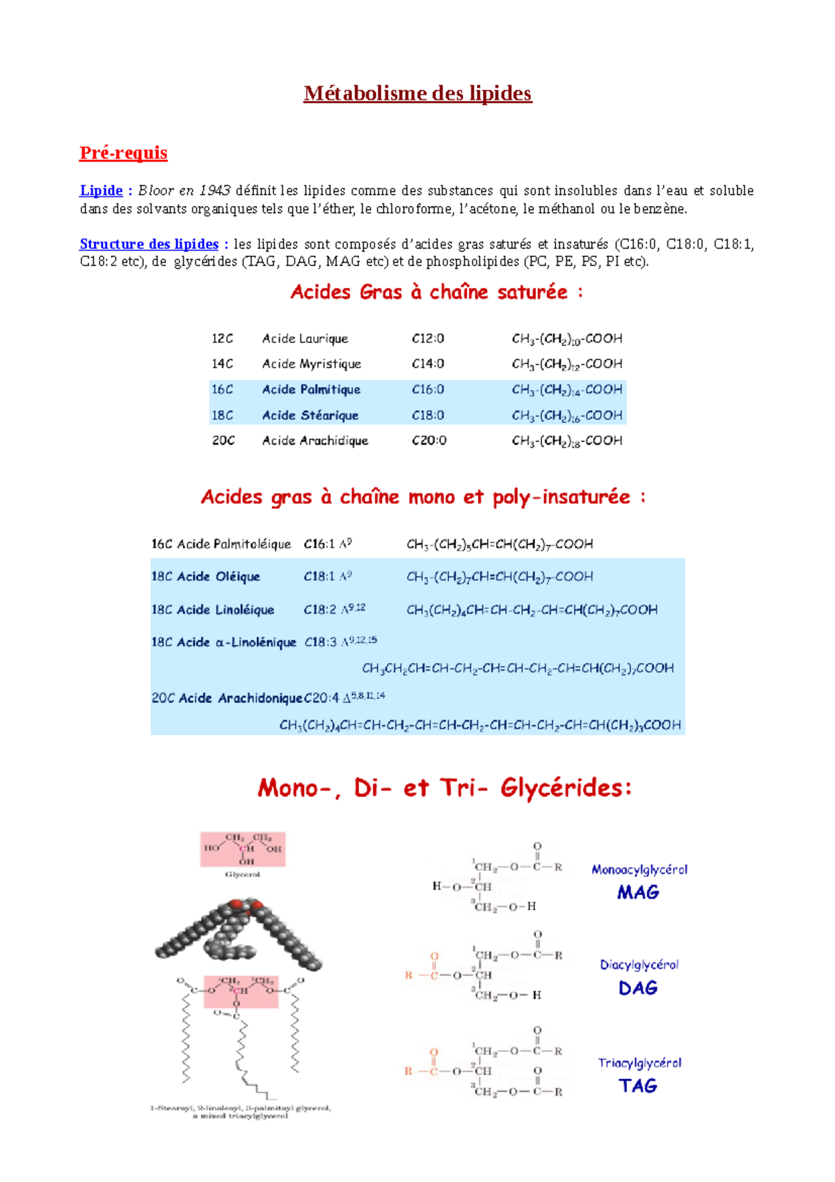 Copy Of 4. Métabolisme Des Lipides - Métabolisme Des Lipides Pré-requis ...