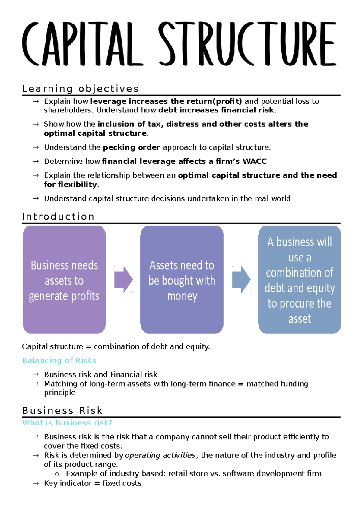 capital structure assignment