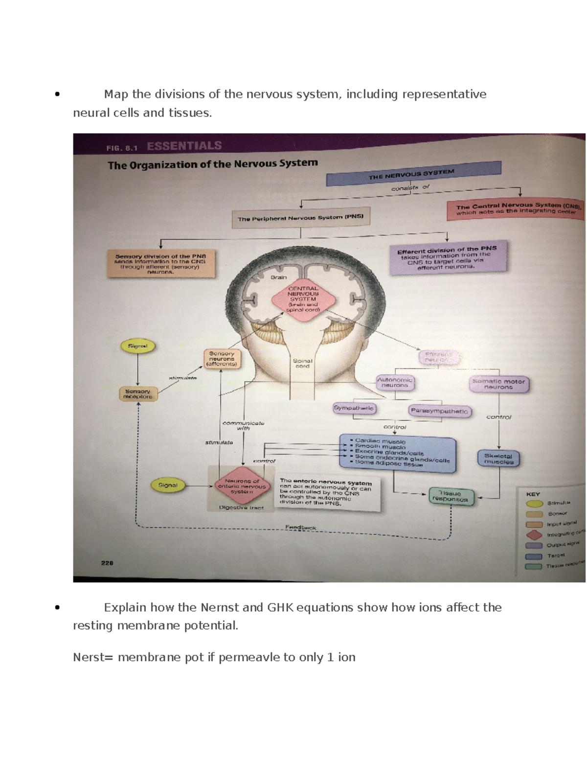 BIOL 2410 unit 2 module 1 - Map the divisions of the nervous system ...