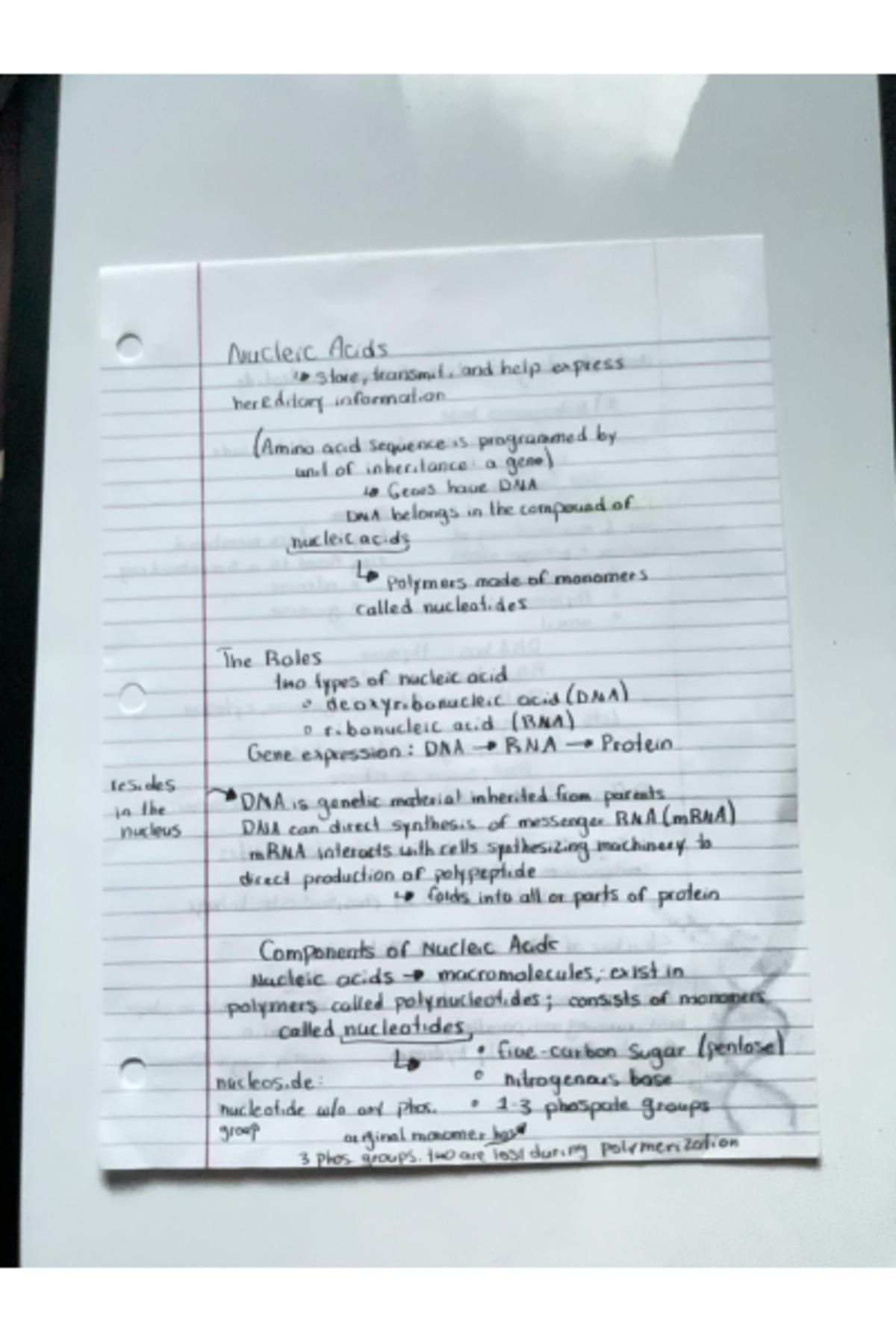 Photo - notes on biology 189 - NURS 140 - Studocu