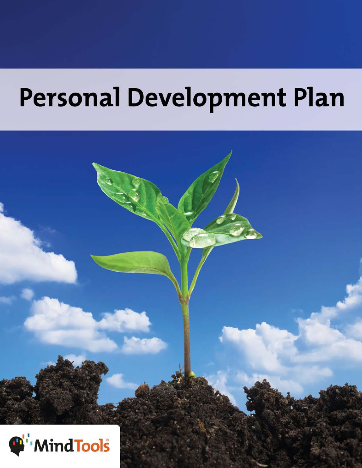 Personal Development Planning - Personal Development Plan This e-book ...