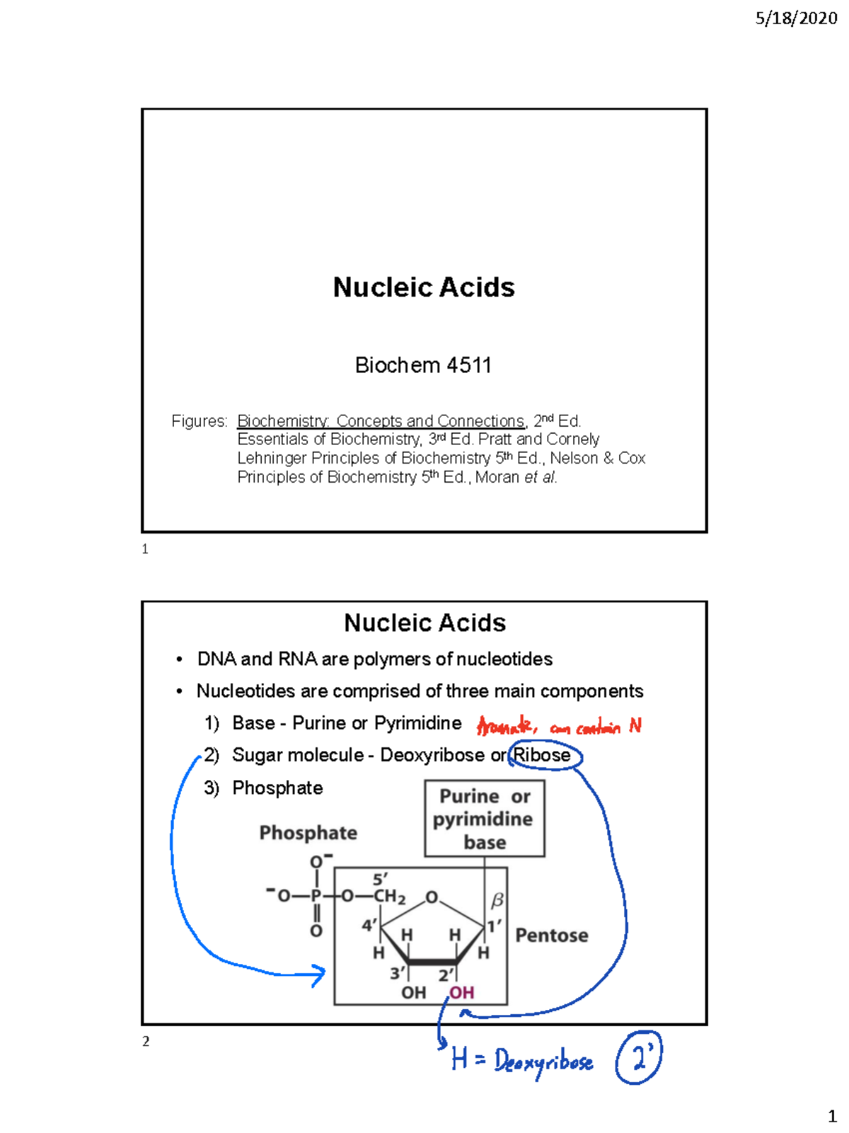 Chapter 4 - Nucleic Acids - Nucleic Acids Biochem 4511 Figures ...