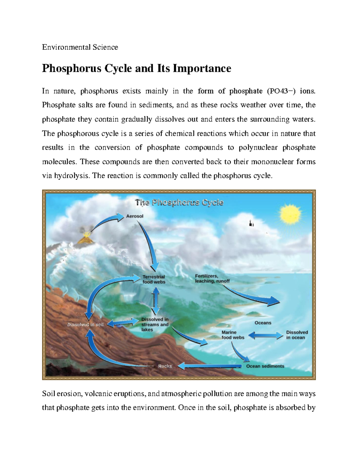 Phosphorus Cycle and Its Importance - Environmental Science Phosphorus ...