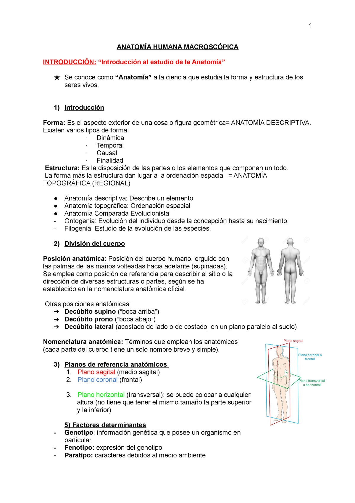 AnatomÍa Humana - Apuntes 1-8 - 1 HUMANA Al Estudio De La Se Conoce ...