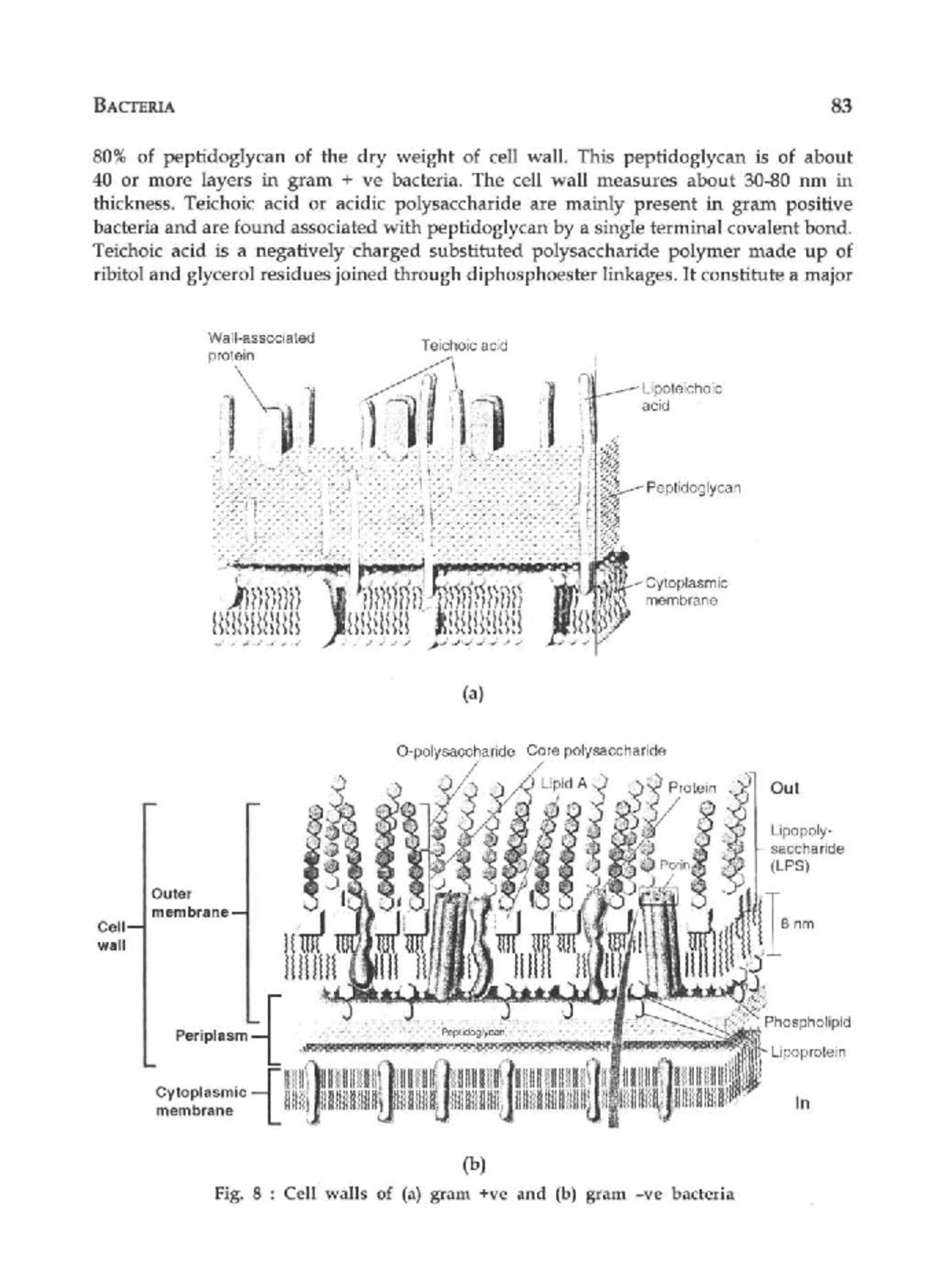 Text Book of Microbiology (1)-83-100 - BACfERIA 83 80% of peptidoglycan ...