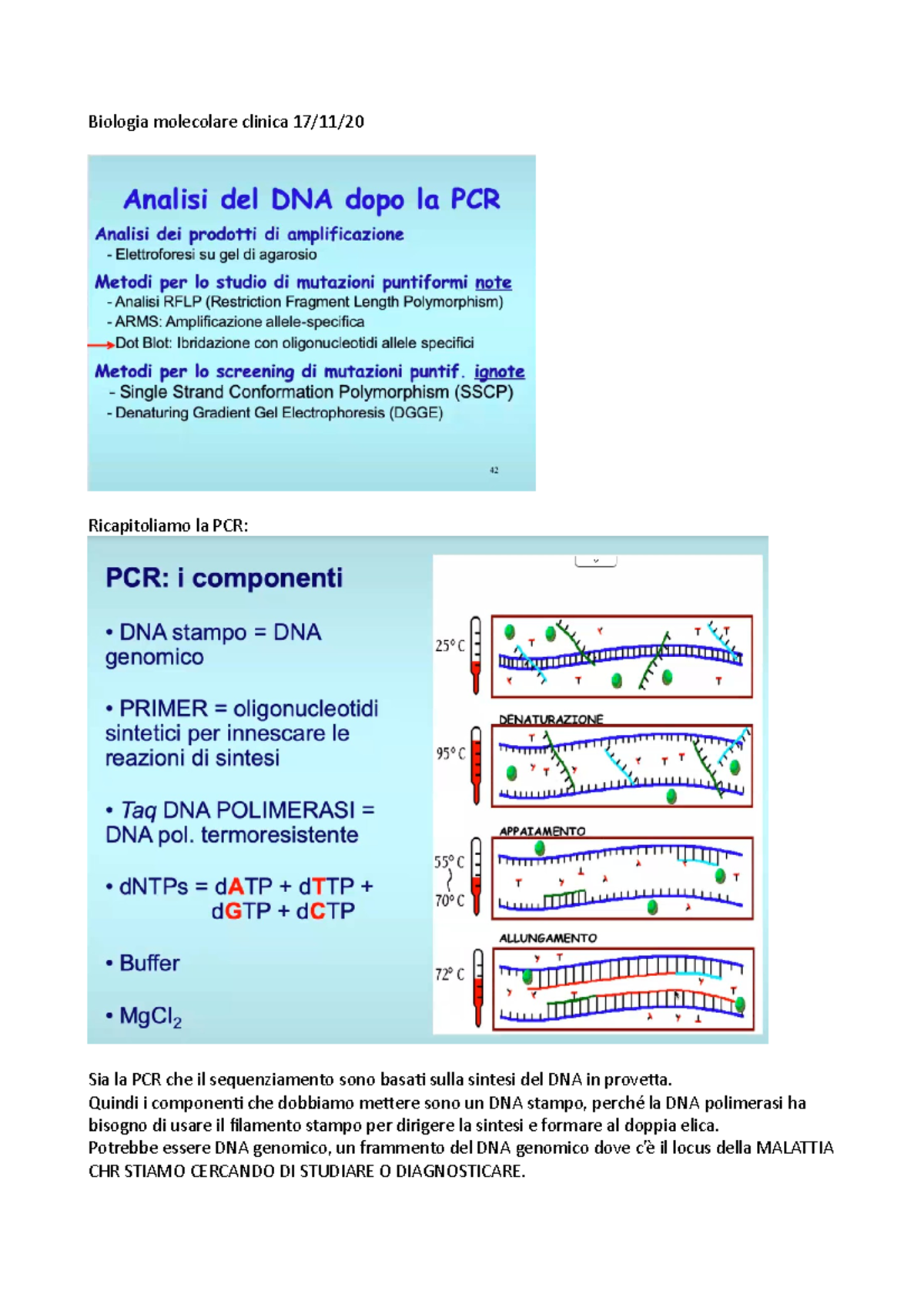 Analisi pcr 1 - Biologia molecolare clinica 17/11/ Ricapitoliamo la PCR ...