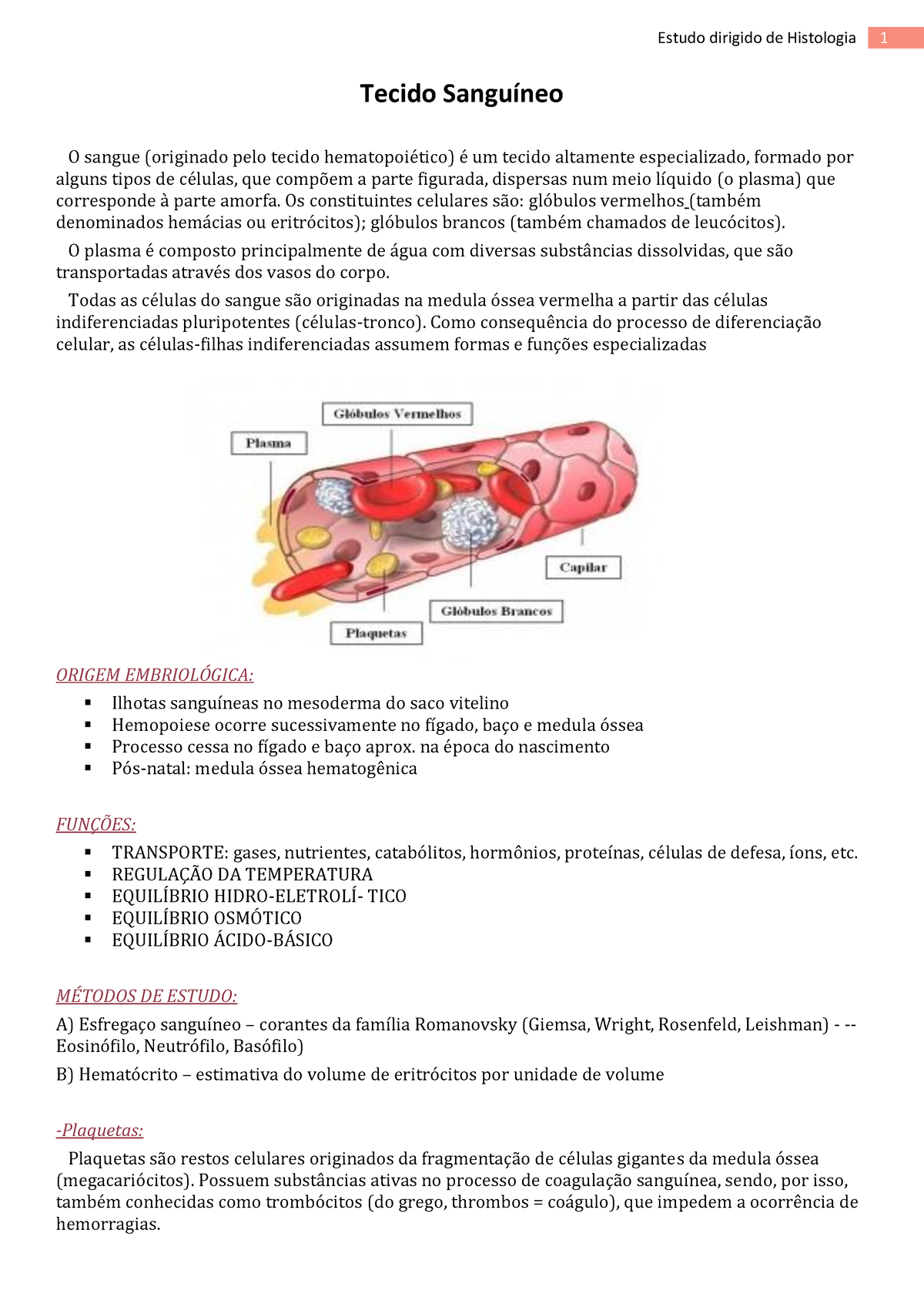 Tecido Sanguíneo Resumo Tecido Sanguíneo O Sangue Originado Pelo Tecido Hematopoiético é 2064