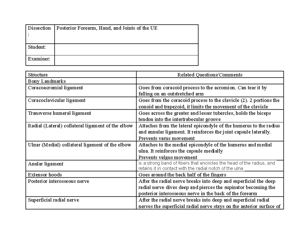 TC Hand, Posterior Forearm, UE Joints - Dissection : Posterior Forearm ...