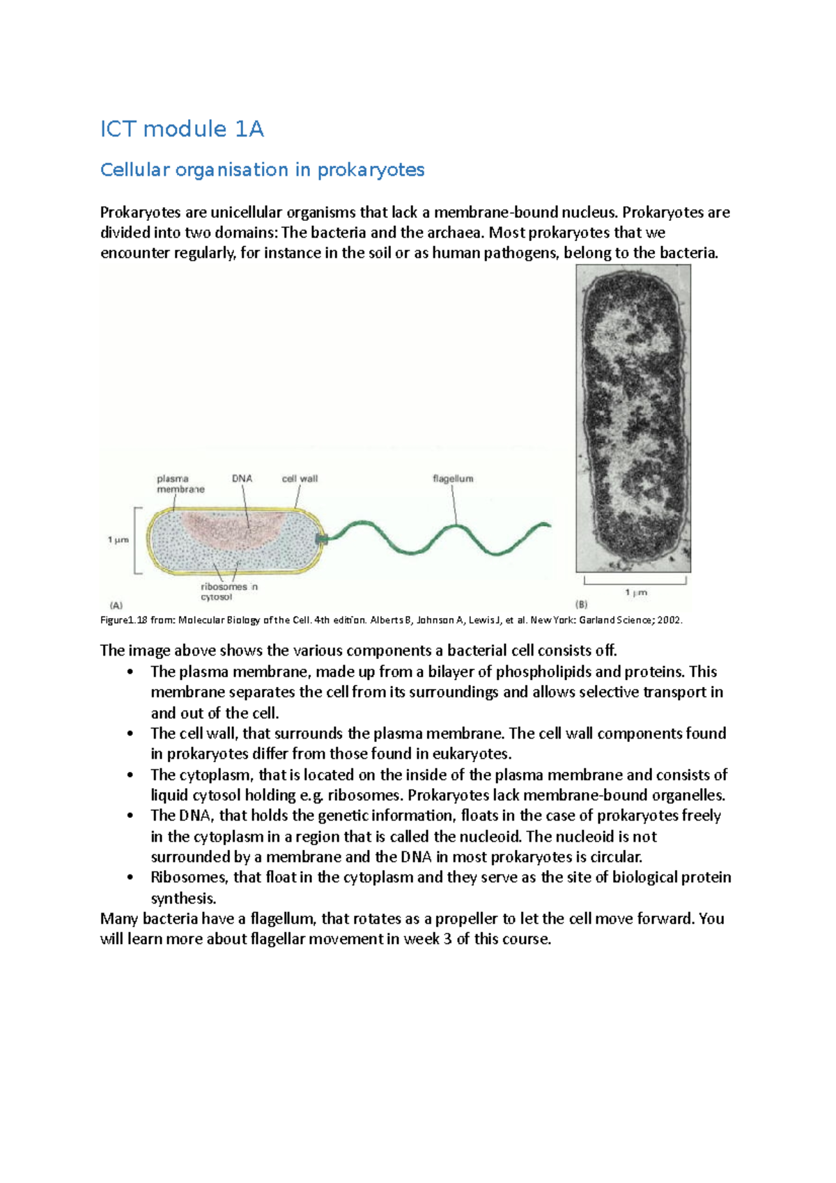 ICT module 1 van week - ICT module 1A Cellular organisation in ...