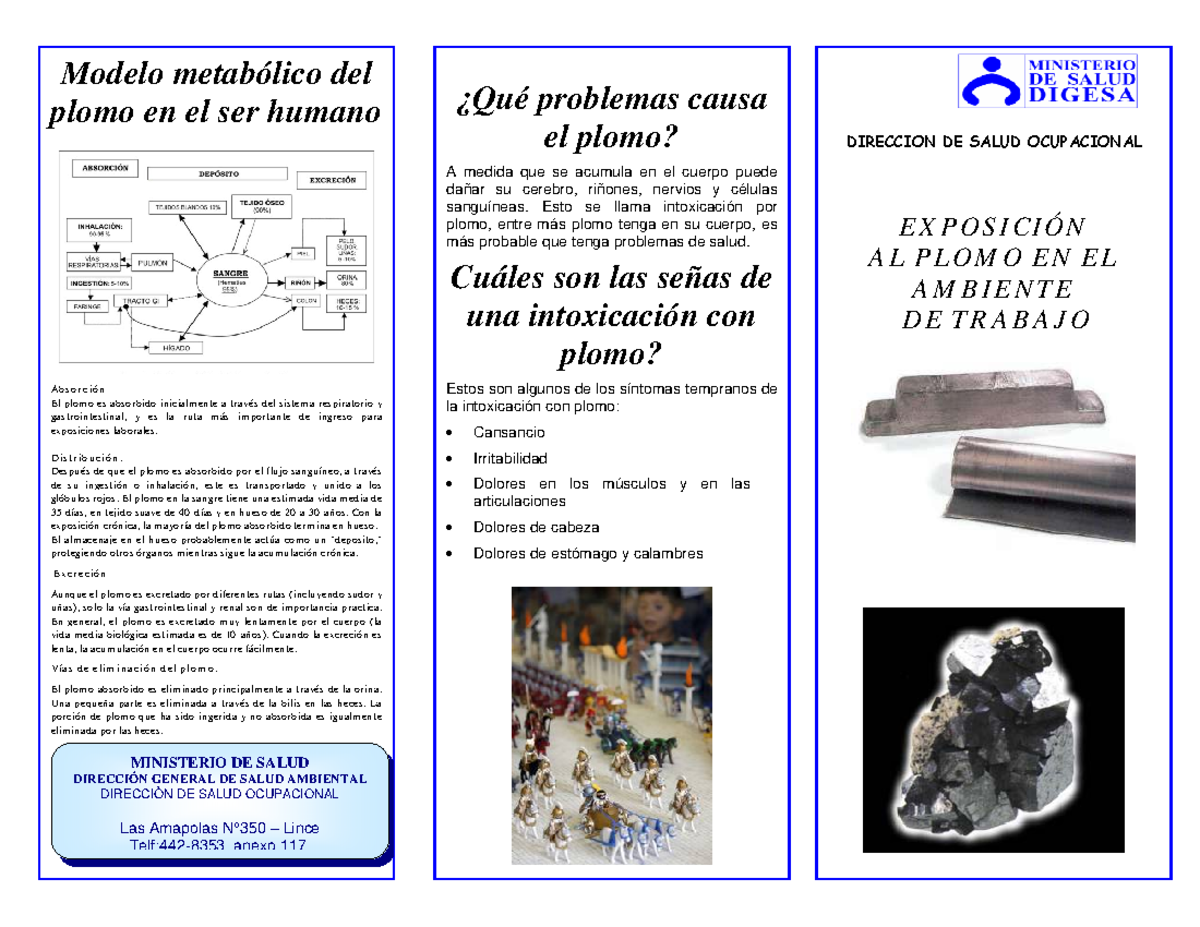 triptico-prevencion-plomo-3-modelo-metab-lico-del-plomo-en-el-ser