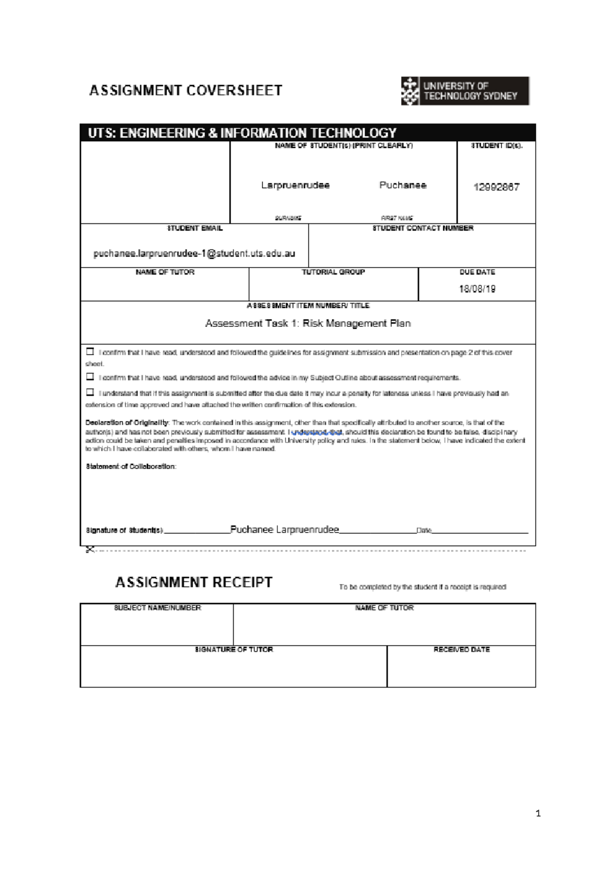 assignment 1 individual risk management report